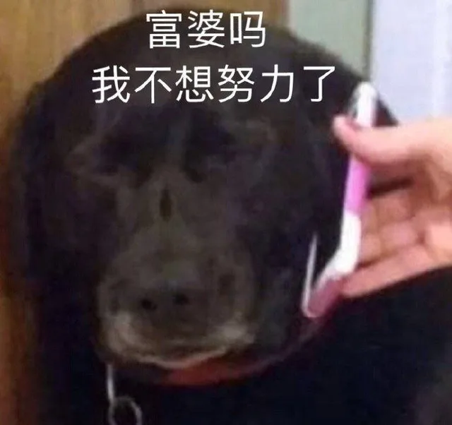 富婆吗我不想努力了（富婆吗我不想努力了）