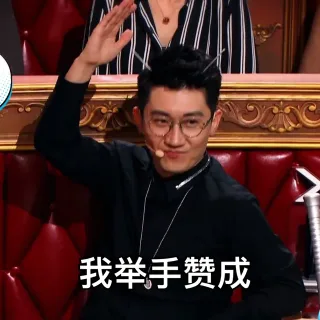 我举手赞成