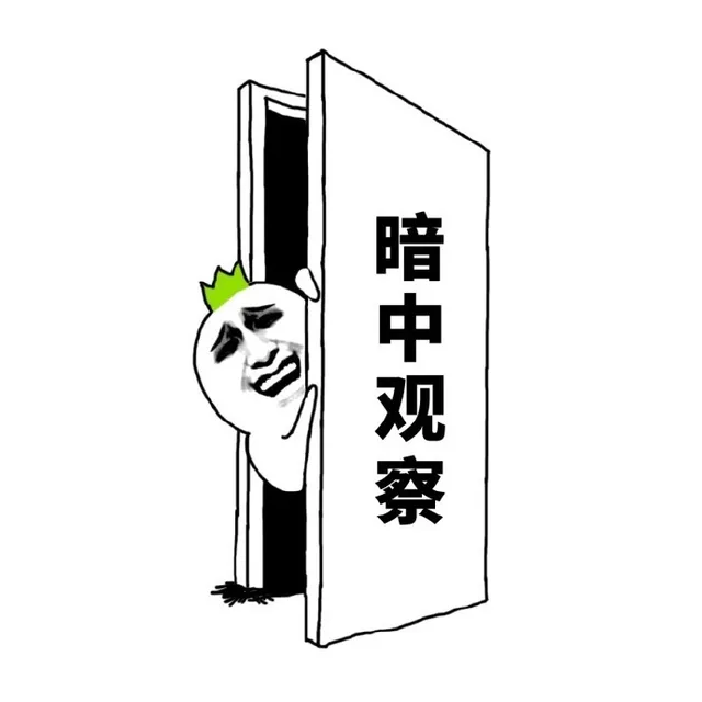 暗中观察（暗中观察）