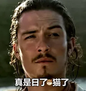 真是日了猫了