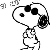 SO COOL