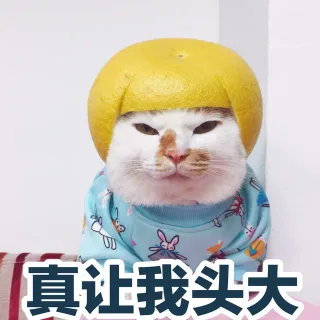 真让我头大