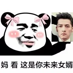 妈，这是你未来女婿胡歌