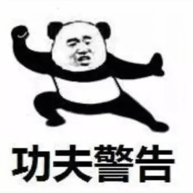 休得放肆，功夫警告_熊猫头表情包