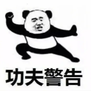 休得放肆，功夫警告_熊猫头