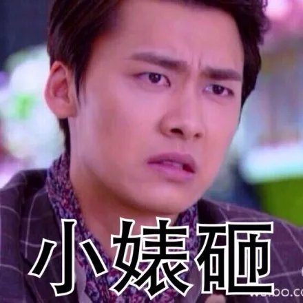 小婊砸