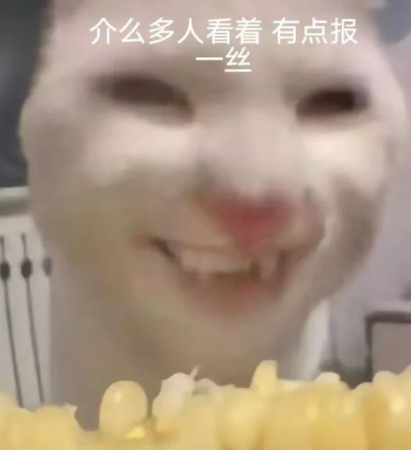 介么多人看着有点报一丝（介么多人看着有点报一丝）