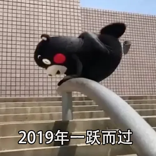 2019年一跃而过