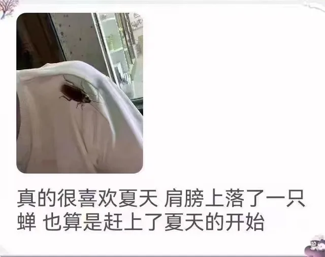 真的很喜欢夏天肩膀上落了一只蝉也算是赶上了夏天的开始（真的很喜欢夏天肩膀上落了一只蝉也算是赶上了夏天的开始）