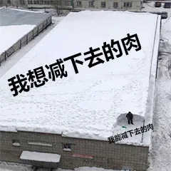 我想减下去得肉 VS 我能减下去得肉