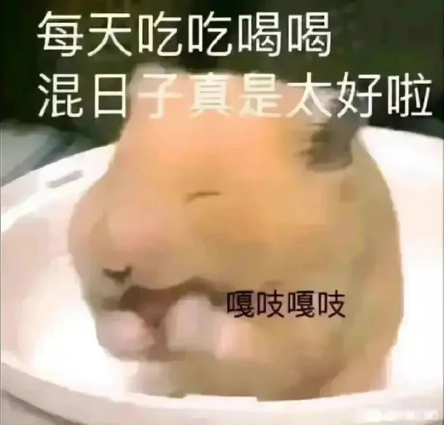 每天吃吃喝喝混日子真是太好啦嘎吱嘎吱（每天吃吃喝喝混日子真是太好啦嘎吱嘎吱）
