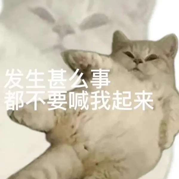 发生甚么事都不要喊我起来