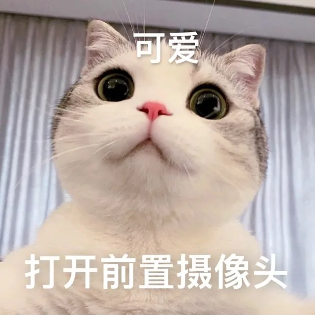 可爱打开前置摄像头（可爱打开前置摄像头）