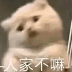 人家不嘛（人家不嘛）