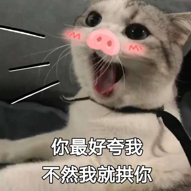 你最好夸我，不然我就拱你
