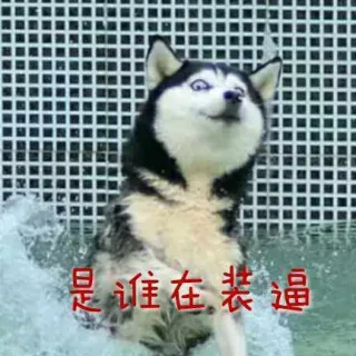 是谁在装逼