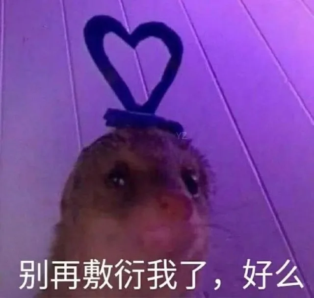 别再敷衍我了，好么(鼠鼠表情包)（别再敷衍我了，好么(鼠鼠表情包)）