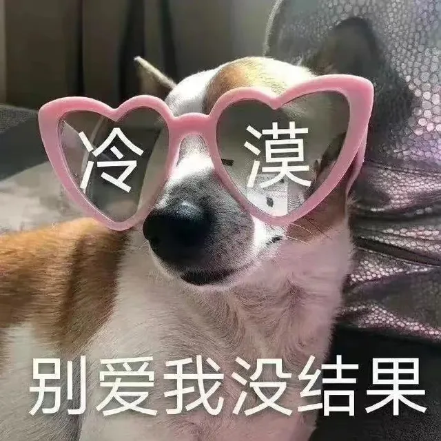 冷漠别爱我没结果（冷漠别爱我没结果）