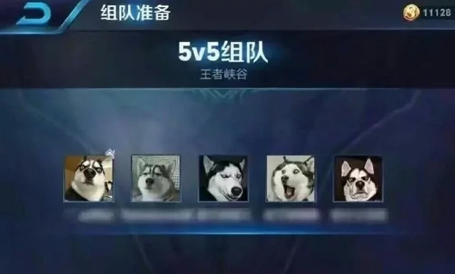 5v5组队，二哈战队（哈士奇）（5v5组队，二哈战队（哈士奇））