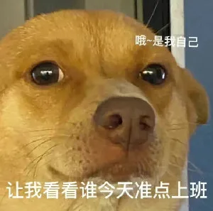 哦~是我自己让我看看谁今天准点上班（哦~是我自己让我看看谁今天准点上班）