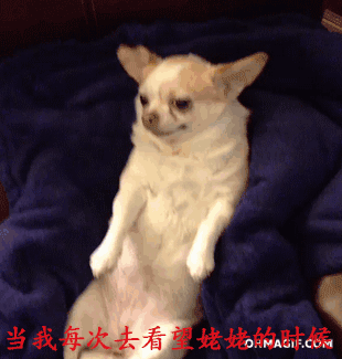 当我每次去看望姥姥的时候（当我每次去看望姥姥的时候）