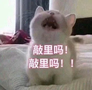 敲里吗！敲里吗！