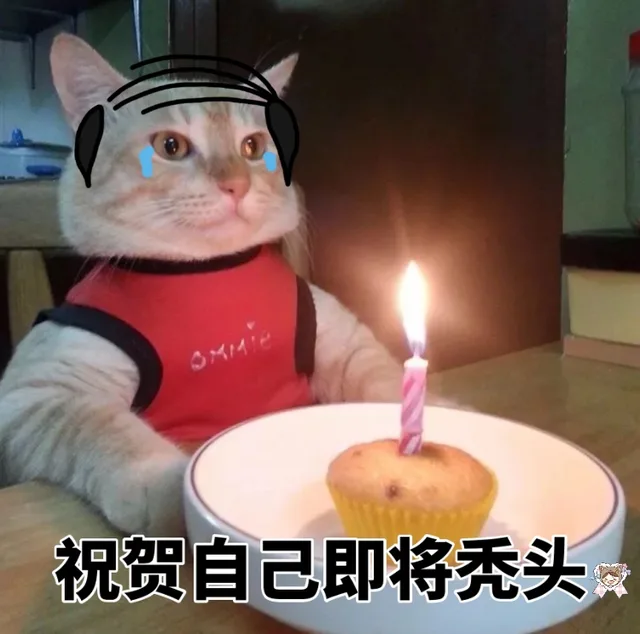 祝贺自己即将秃头（祝贺自己即将秃头）