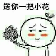 送你一把小花