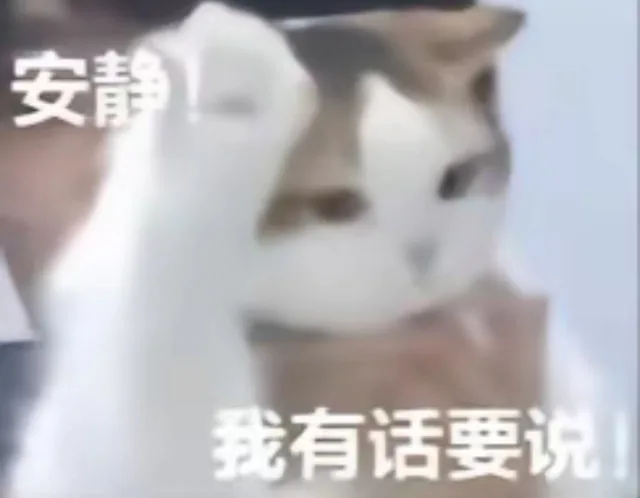 安静我有话要说！（安静我有话要说！）
