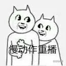 慢动作重播（慢动作重播）