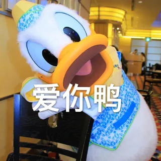 爱你鸭