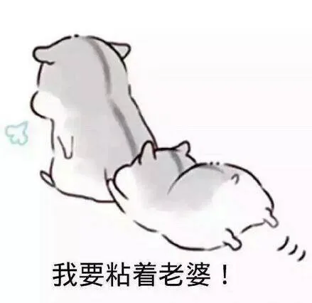 我要粘着老婆！
