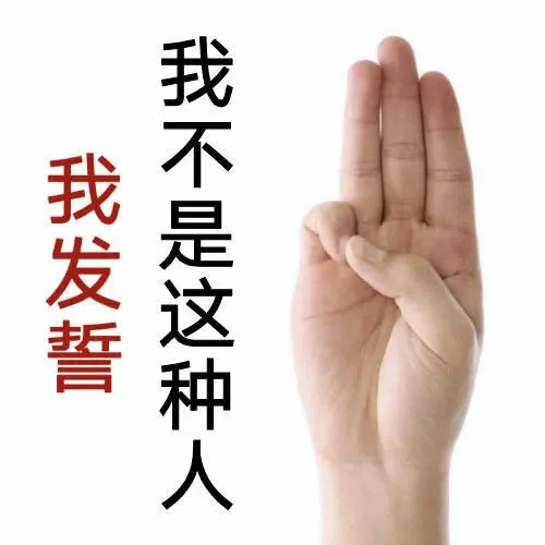 我发誓我不是这种人（我发誓我不是这种人）