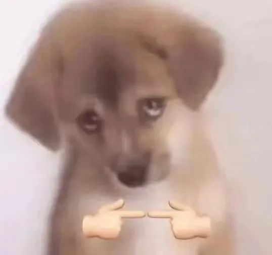 狗狗揣手手表情包（狗狗揣手手表情包）