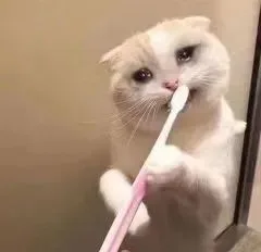 （未命名表情包）