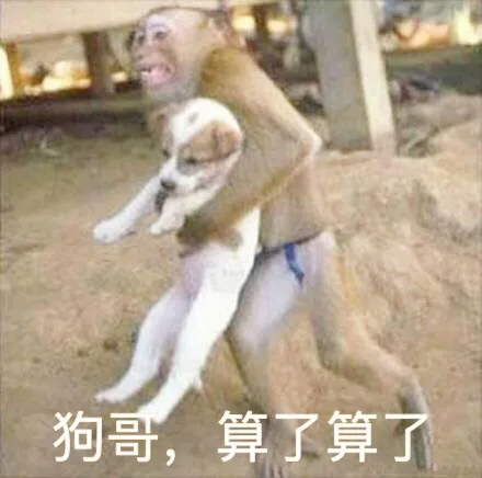 狗哥，算了算了（狗哥，算了算了）