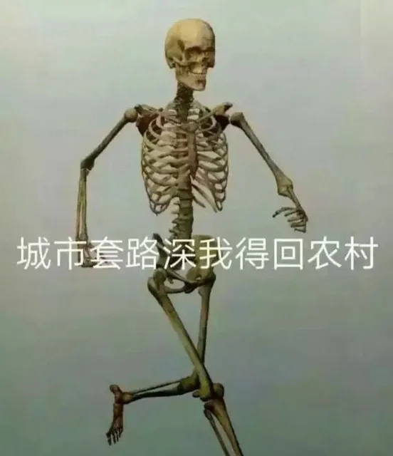 城市套路深我得回农村（城市套路深我得回农村）