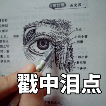 第七感觉器是衬板结膜的泪点上皮。泪腺上泪小管膜相互泪囊膜上弯时,整。此下泪小管膜炎和鼻泪管下鼻甲戳中泪点小管的人口