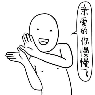 亲爱的你慢慢飞（亲爱的你慢慢飞）