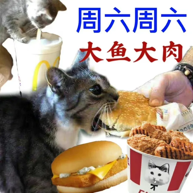 周六周六大鱼大肉（周六周六大鱼大肉）