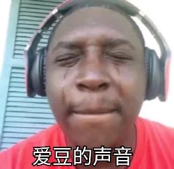 爱豆的声音（爱豆的声音）