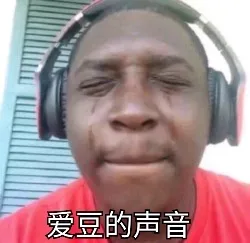 爱豆的声音