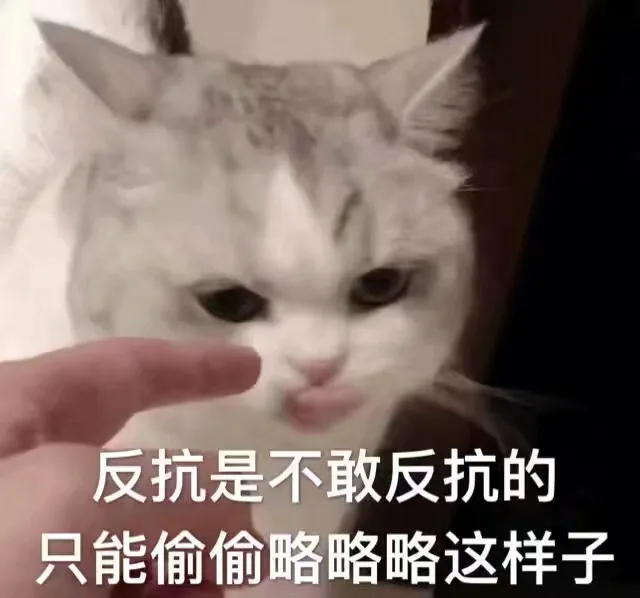 超萌的喵星人表情包_猫咪表情包