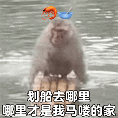 划船去哪里哪里才是我马喽的家（划船去哪里哪里才是我马喽的家）