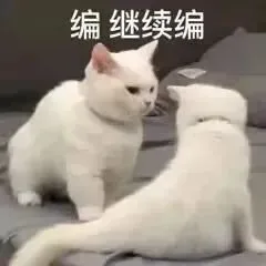 编继续编（编继续编）