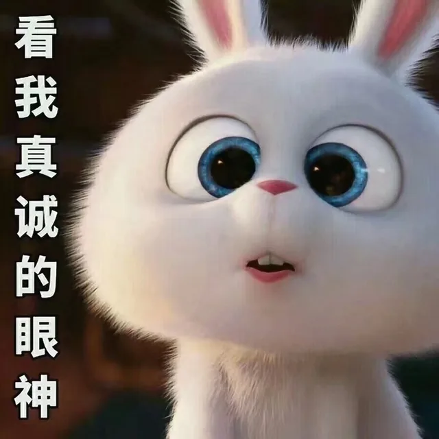 看我真诚的眼神（看我真诚的眼神）