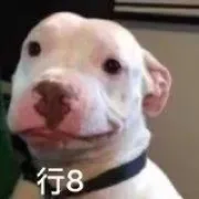 行8（汪星人）（行8（汪星人））