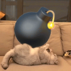 猫咪盘炸弹