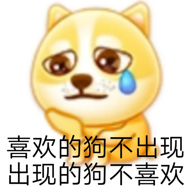 喜欢的狗不出现出现的狗不喜欢