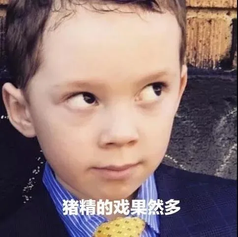 猪精的戏果然多（猪精的戏果然多）